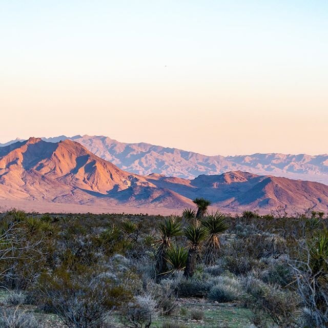 Your Mojave Moment.  That most distant mountain range is about 25 miles away. Roughly the same as the diameter of Las Vegas&rsquo; north-south sprawl. In this case, little human interference. We are incredibly lucky to have wildlands like this.  Let&